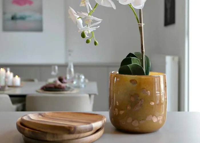 Huswell - Mimi's House - Family By The 布兰肯贝赫